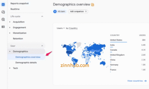 Example From Ga4’S Demographics Overview Report Showing User Distribution By Country.