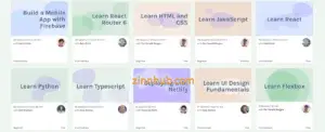 learn scrimba with zinn digital