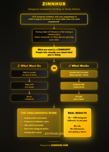 Zinn Hub Infographic Representing Instagram Community V's Instagram Followers.