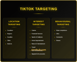 Tiktok Ad Retargeting Infographic.