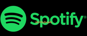 Spotify For B2C Marketing