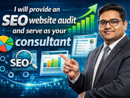 I Will Provide An Seo Website Audit And Serve As Your Consultant