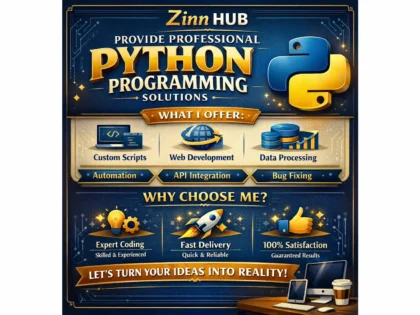 Provide Professional Python Programming Solutions