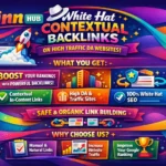 Link Insertion Marketplace 29 &Raquo; Zinn Hub