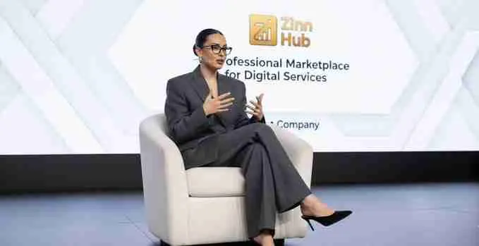 Zinn Hub Brand Promotion By Queenofredrosess