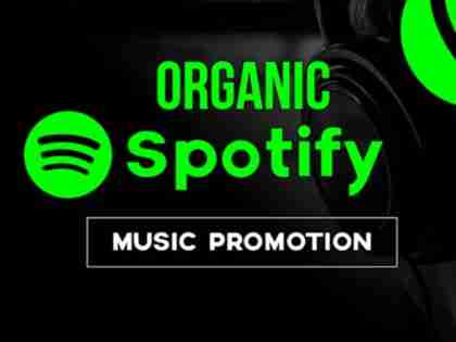 I will promote your spotify song, album and playlist for real organic results