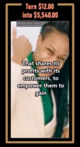 "Can $12 Really Make You Rich Online?"