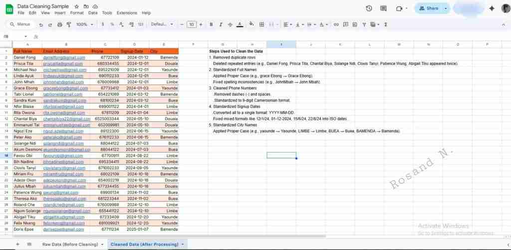 Data Cleaning & Standardization | Google Sheets