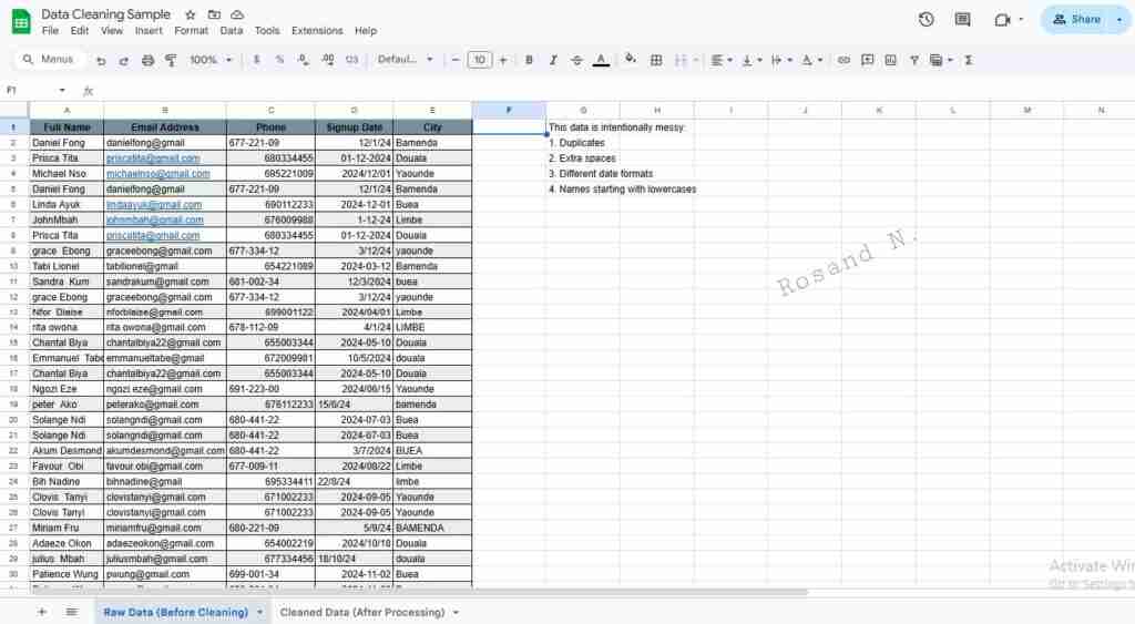 Data Cleaning & Standardization | Google Sheets