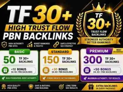 I will build TF 30+ high authority PBN backlinks for SEO ranking