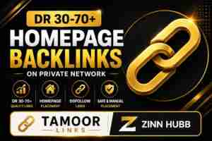 DR 30–70+ Homepage Backlinks Project