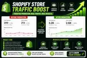 Shopify Store Traffic Growth Campaign