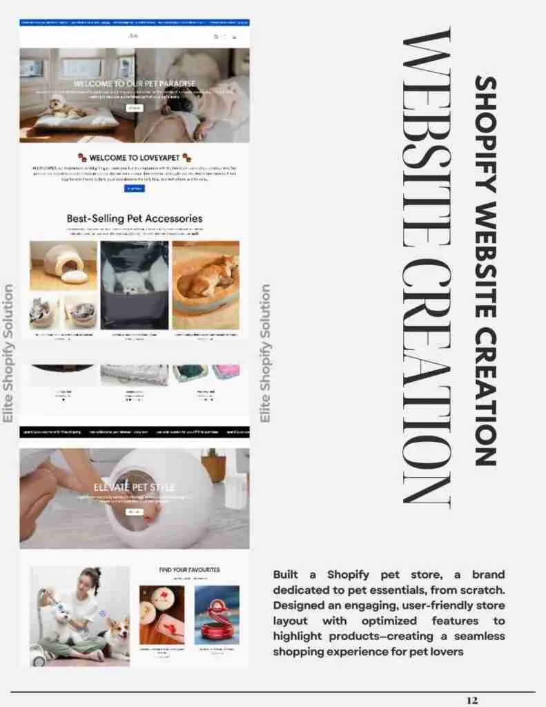 SHOPIFY WEBSITE CREATION