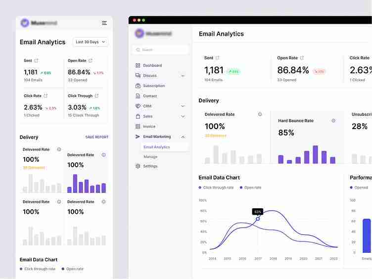 Email Campaign Analytics Dashboard & Performance Tracking System