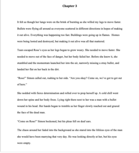 Fictional Novel Based on True Events