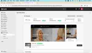 Shopify Business Modifications