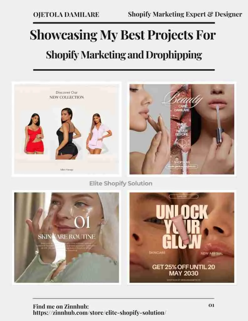Showcasing My Best Projects For Shopify Marketing and Drophipping