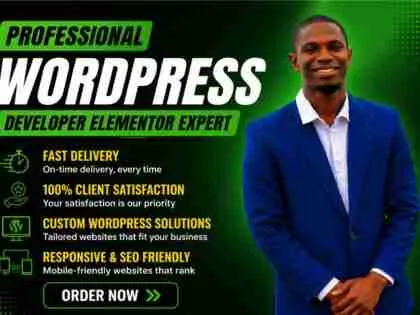 I will design and develop a professional WordPress website and blog