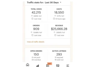 Etsy Shopify Store SEO Optimization & Sales Growth