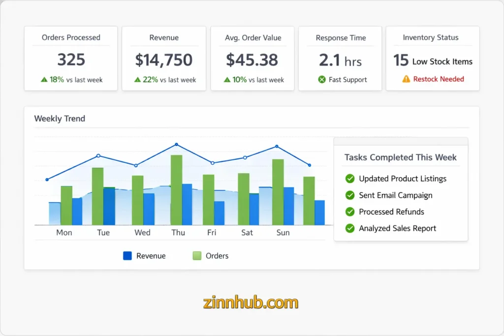 Shopify Store Daily Operations Support