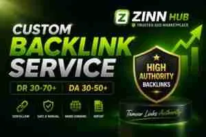 Custom Backlink Campaign (Zinn Hub)