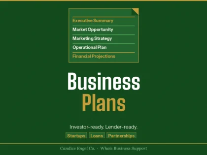I will write a professional business plan that clearly communicates your vision, strategy, and path to profitability.