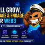 Crypto Community Management Marketplace 21 &Raquo; Zinn Hub