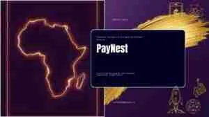 PayNest — African Fintech Pitch Deck
