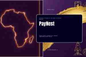 PayNest — African Fintech Pitch Deck