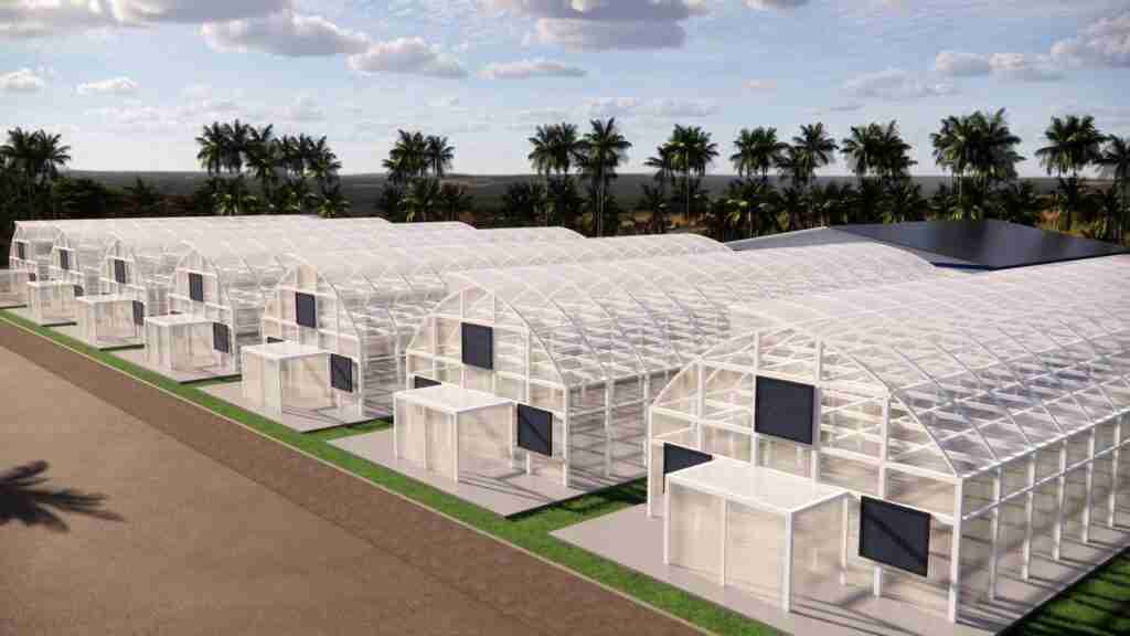 3D Greenhouse design