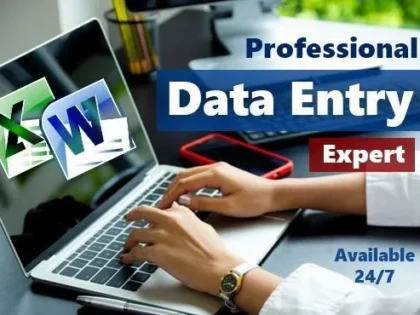 Introduciré, limpiaré y organizaré sus datos con precisión en Excel o Google Sheets 2 Ingresaré, Limpiaré Y Organizaré Tus Datos Con Precisión En Excel O Google Sheets — Disponible En Zinn Hub