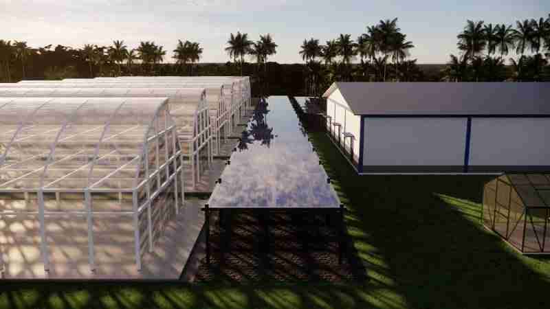3D Greenhouse design
