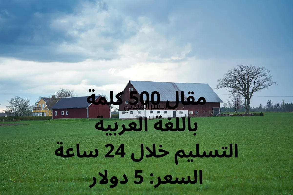 I Will write a professional 500-word article in Arabic for you 2 » Zinn Hub
