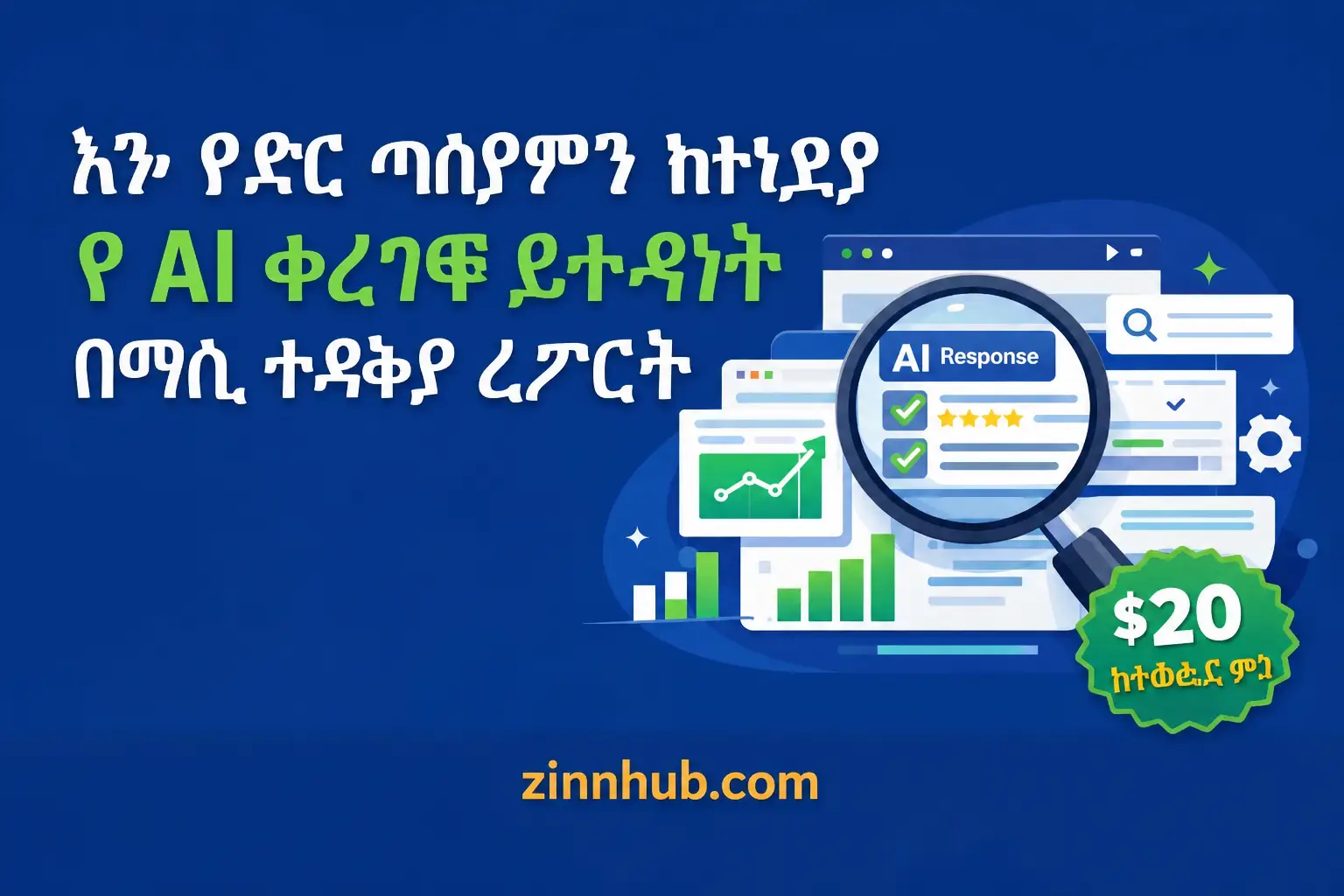 የእርስዎን ድር ጣቢያ ለ AI ፍለጋ ታይነት በባለሙያ ሪፖርት እመረምራለሁ።